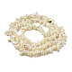 Natural Trochus Shell Beads Strands(SSHEL-H072-04)-2