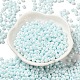 6/0 Glass Seed Beads(SEED-M012-01A-13)-2