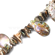 Natural Paua Shell Beads Strands, Chip & Teardrop, 7~15.5x11~26x2.5~4.5mm, Hole: 0.5mm, 15.55 inch(39.5cm)(SHEL-F006-02)