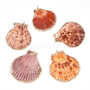 Electroplate Multicolor Sea Shell Pendants, with Iron Findings, Light Gold, Sienna, 33~54x28~48x7~11mm, Hole: 2mm(X-SSHEL-S262-31)