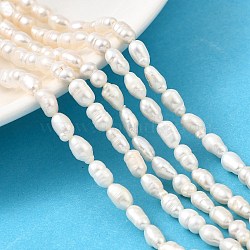 Natural Cultured Freshwater Pearl Beads Strands, Rice, Grade 2A, Old Lace, 4~5mm, Hole: 0.6mm, about 55pcs/strand, 13.5 inch(PEAR-I007-01P-03B)