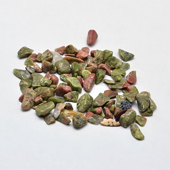 Unakite Chip Beads, No Hole/Undrilled, 2~8x2~4mm, about 340pcs/20g