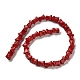 Synthetic Howlite Beads Strands(TURQ-F018-10)-3