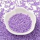 Baking Paint Glass Seed Beads(X-SEED-S042-05B-71)-2
