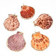 Electroplate Multicolor Sea Shell Pendants(X-SSHEL-S262-31)-1