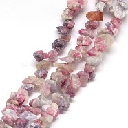 Natural Tourmaline Nuggets Beads Strands, 5~15x5~15mm, Hole: 1mm, 16 inch(G-F214-27A)