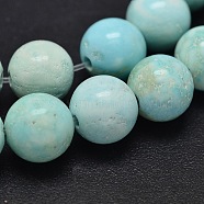 Natural Howlite Beads Strands, Dyed & Heated, Round, Turquoise, 10mm, Hole: 1mm, about 39pcs/strand, 15.5 inch(39.4cm)(TURQ-P027-17-10mm)