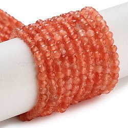 Cat Eye Beads Strands, Faceted, Rondelle, Coral, 3x2.5mm, Hole: 0.6mm, about 153pcs/strand, 14.17''(36cm)(CE-G009-01M)