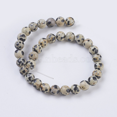 Chapelets de perles en jaspe de dalmation naturelle(X-G-G515-6mm-06)-2