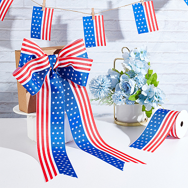 Independence Day Polyester Ribbon(OCOR-WH0078-18C)-4
