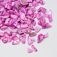 Dyed Natural Freshwater Shell Chips Beads, Shell Shards, Magenta, 9~12x6~15mm, Hole: 1mm, about 900pcs/500g(SHEL-A003-E06)
