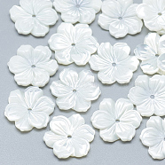 Natural White Shell Beads, Mother of Pearl Shell Beads, Flower, 15~16x14~15x2~3mm, Hole: 1mm(SSHEL-S260-062C)