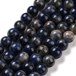 Natural Sodalite Beads Strands, Round, 10mm, Hole: 1~1.6mm, about 39pcs/strand, 15.24~15.51''(38.7~39.4cm)(G-D481-12C)