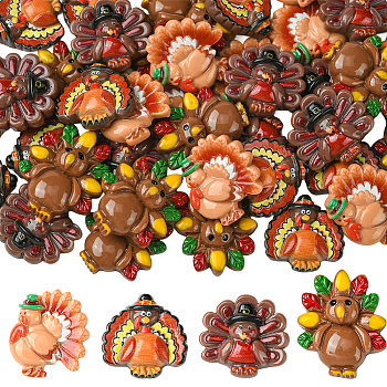 40Pcs 4 Styles Thanksgiving Resin Cabochons, Turkey, Mixed Color, 23.5~29x22~24.5x6.5~8.5mm, 10pcs/style