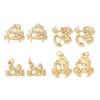 Brass Pendants, Sea Animals Charms, Cadmium Free & Lead Free, Rack Plating, Long-Lasting Plated, with Jump Ring, Mixed Shapes, 12~17.5x14~16.5x3~204mm, Hole: 3mm
