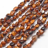 Natural Tiger Eye Beads Strands, Nuggets, 3~5x3~5x3~8mm, Hole: 1mm, about 85~90pcs/strand, 15.7 inch(40cm)(G-F465-04)