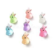 Luminous Translucent Resin Pendants, Rabbit Charm, with Platinum Tone Iron Loops, Mixed Color, 24x14.5x19.5mm, Hole: 2.5mm(X-RESI-A017-04)