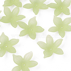 Transparent Acrylic Beads, Frosted, Flower, Light Green, 26x27x6mm, Hole: 1.8mm, about 980pcs/500g(MACR-S373-127-D06)