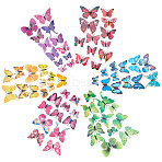 6 Colors Artificial Plastic Butterfly Decorations, with Adhesive Sticker and Magnet, for Fridge Magnets or Wall Decorations, Mixed Color, 1color/set, 12pcs/set, 6sets/bag(DJEW-CJ0001-01)
