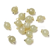 Natural Hetian Jade Apple Charms with Brass Jump Rings, Real 14K Gold Plated, 12x8mm, Hole: 2.6mm(KK-H445-17G)