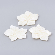 Freshwater Shell Cabochon, Flower, Creamy White, 42~43x55~56x4.5~6mm(SHEL-N020-16)