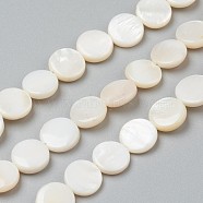 Natural Freshwater Shell Beads, Flat Round, 10x3~6mm, Hole: 0.5mm, about 39pcs/strand, 15.16 inch(38.5cm)(BSHE-I011-01D-02)