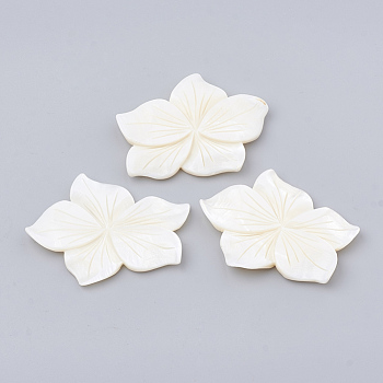 Freshwater Shell Cabochon, Flower, Creamy White, 42~43x55~56x4.5~6mm