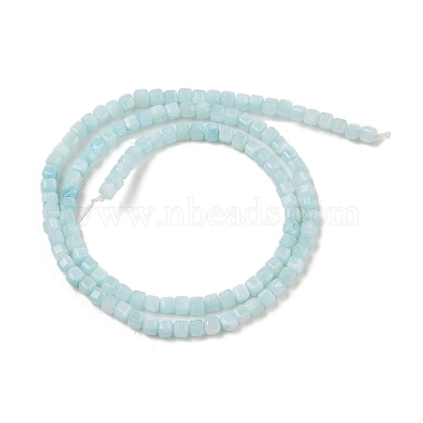 Natural Freshwater Shell Dyed Beads Strands(SHEL-R100-11A-03)-2
