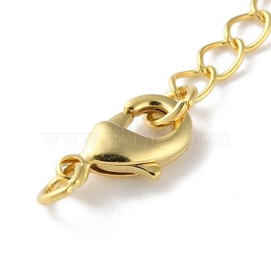 Brass Lobster Clasps & Ends with Chain(KK-F880-35G)-3