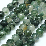 Natural Moss Agate Beads Strands, Round, 6mm, Hole: 0.8mm, about 63pcs/strand,  14.76 inch(37.5cm)(G-I199-06-6mm)