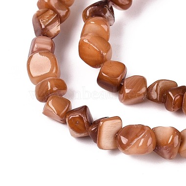 Natural Freshwater Shell Beads Strands(SHEL-N037-04C)-3