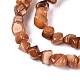 Natural Freshwater Shell Beads Strands(SHEL-N037-04C)-3