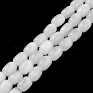 Natural Selenite Beads Strands, Drum, White, 12x8mm, Hole: 1mm, about 32pcs/strand, 15.51~15.55 inch(39.4~39.5cm)(G-F750-02)