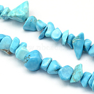 Dyed Synthetic Turquoise Stone Bead Strands, Chip, 8~18x6~12x3~7mm, Hole: 1mm, about 160pcs/strands, 34.6 inch(X-G-R192-B24)