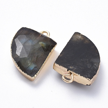 Natural Labradorite Pendants, with Brass Loop, Edge Golden Plated, Knife Shape, 20~20.5x13~14.5x4.5mm, Hole: 2mm
