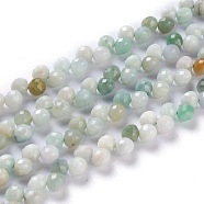 Natural Myanmar Jade/Burmese Jade  Beads Strands, Top Drilled, Faceted, Teardrop, 4~5mm, Hole: 0.9mm, about 88pcs/strand, 16.54 inch(42cm)(G-H243-17)
