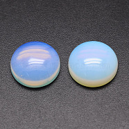 Dyed Half Round/Dome Opalite Cabochons, 16x6mm(X-G-K019-16mm-05)
