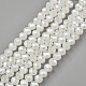 Electroplate Glass Beads Strands(EGLA-A034-J10mm-A01)-1