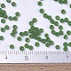 ミユキラウンドロカイユビーズ(X-SEED-G007-RR0411F)-4