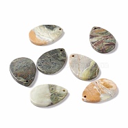 Natural Polychrome Jasper/Picasso Stone/Picasso Jasper Pendants, Teardrop, 38~39x26.5~27x3.5~5mm, Hole: 1.8~2.5mm(G-B030-12)