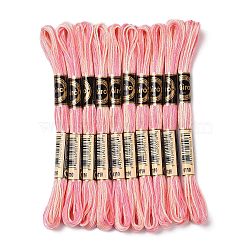10 Skeins 6-Ply Polyester Embroidery Floss, Cross Stitch Threads, Segment Dyed, Pink, 0.5mm, about 8.75 Yards(8m)/skein(OCOR-K006-A28)