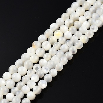 Natural White Shell Bead Strands, Round, 3~3.5mm, Hole: 0.8mm, about 123~124pcs/strand, 14.76 inch~14.88 inch(37.5~37.8cm)