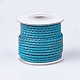 Braided Leather Cords(WL-P002-17-A)-1