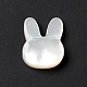 Natural White Shelll Beads(BSHE-C003-01C)-3
