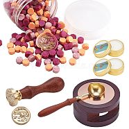 CRASPIRE DIY Scrapbook Making Kits, Including Sealing Wax Particle, Round Sealing Wax Stove, Brass Wax Seal Stamp and Wood Handle Sets, Brass Wax Sticks Melting Spoon, Candles, Golden, Sealing Wax Particles: 210pcs(DIY-CP0004-91)