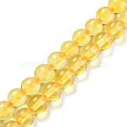 Natural Amber Beads Strands, Round, 4~4.5mm, Hole: 0.5mm, about 95pcs/strand, 15.75 inch(40cm)(G-L584-02-01)