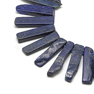 Natural Lapis Lazuli Beads Strands, Top Drilled Beads, Dyed, Rectangle, 20~65x7~15x6~10mm, Hole: 2mm, about 30~40pcs/strand, 15.75 inch(40cm)(G-R419-12)