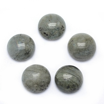 Natural Labradorite Cabochons, Half Round, 13.5~14x6~8mm