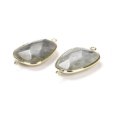 Natural Labradorite Faceted Connector Charms(G-F763-02G-03)-2