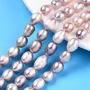 Natural Cultured Freshwater Pearl Beads Strands, Rice, Thistle, 10~14x8~8.5mm, Hole: 0.7~0.8mm, about 34~35pcs/strand, 13.78 inch(35cm)(PEAR-N012-08M)